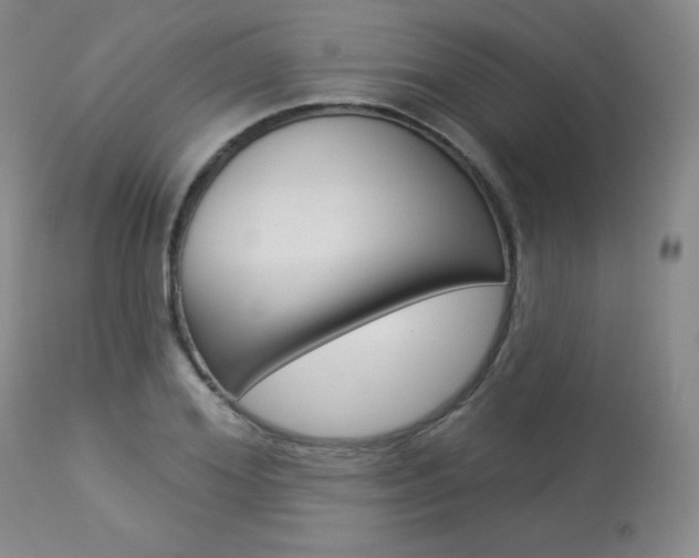 X0000113920980200909241325