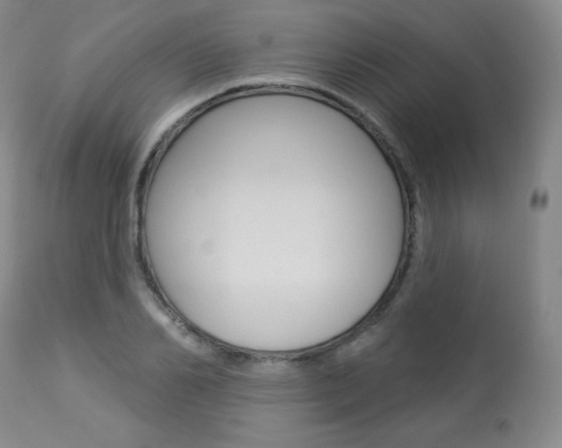 X0000113920982200909241325