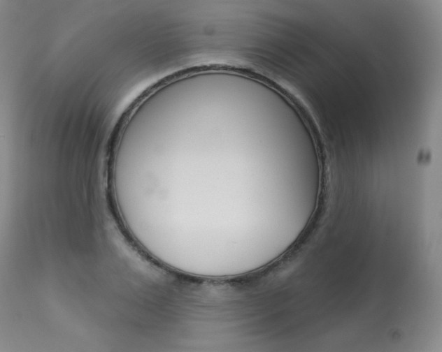 X0000113920983200909241325
