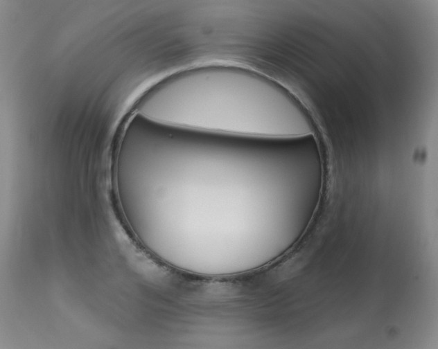X0000113920984200909241325