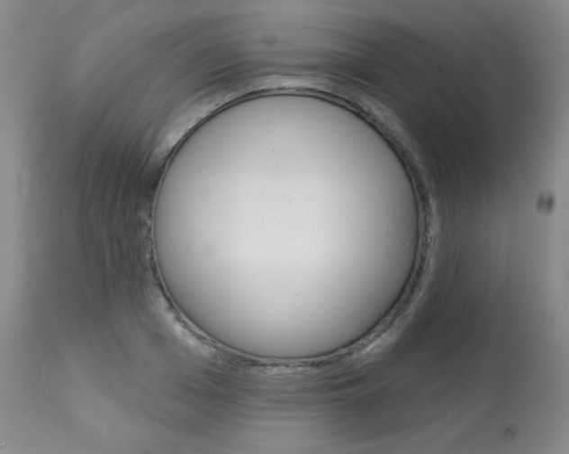 X0000113920985200909241325