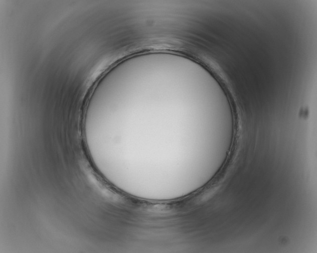 X0000113920986200909241325