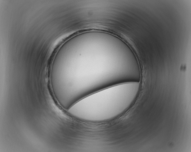 X0000113920987200909241325