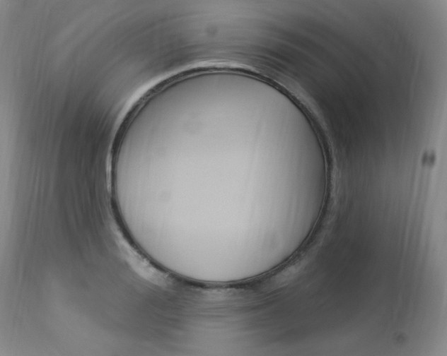 X0000113920988200909241325