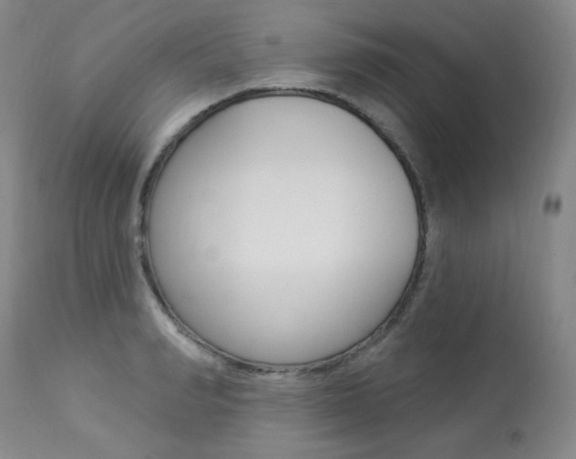 X0000113920990200909241325