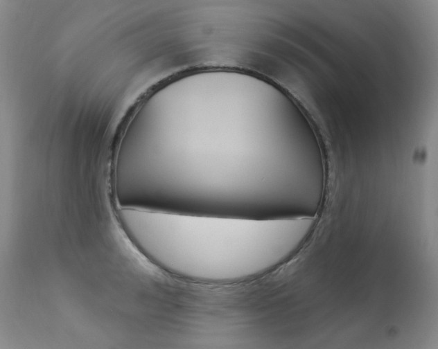 X0000113920992200909241325