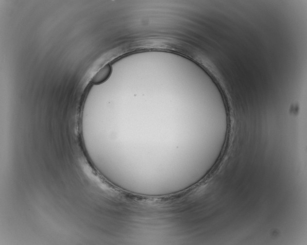 X0000113920994200909241325