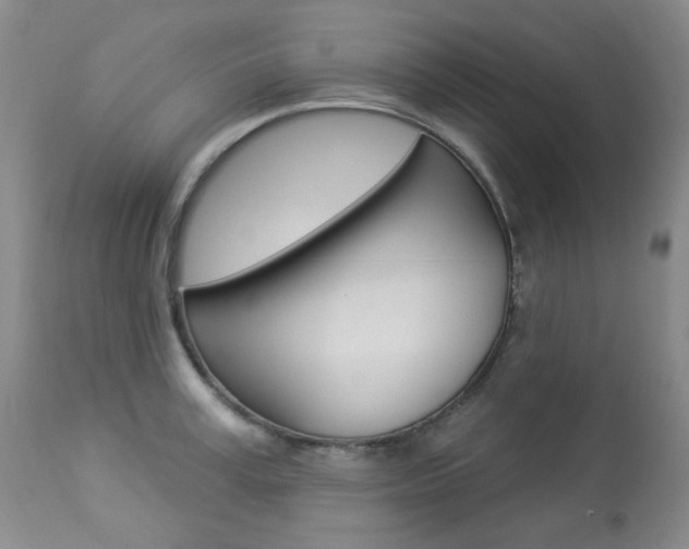 X0000113920995200909241325