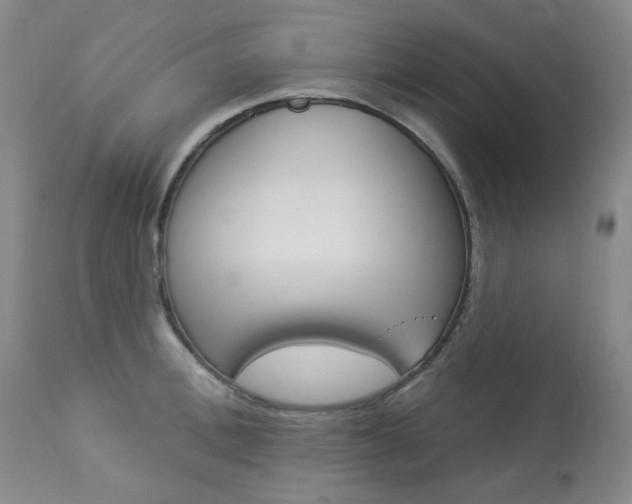 X0000113920996200909241325