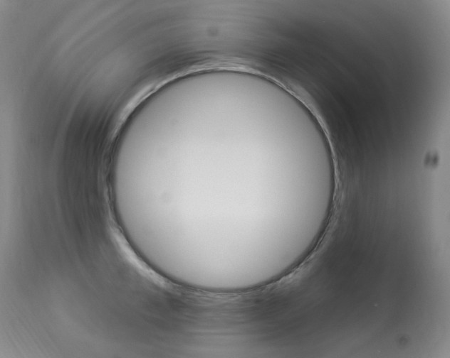 X0000113920997200909241325