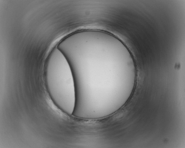 X0000113920998200909241325