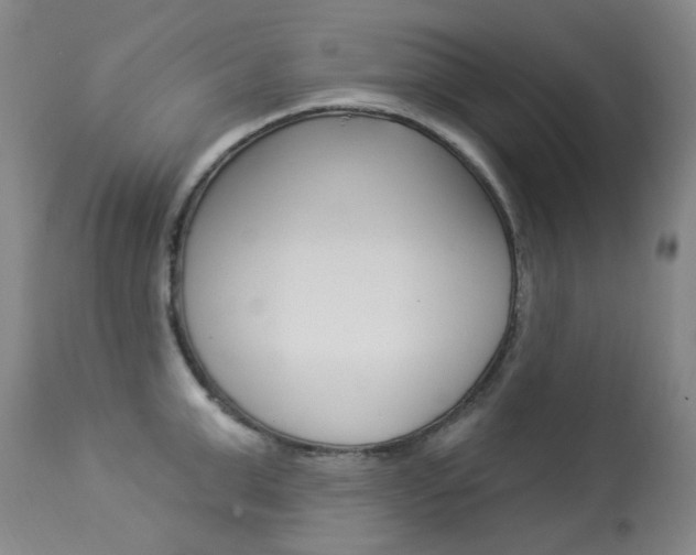 X0000113920999200909241325