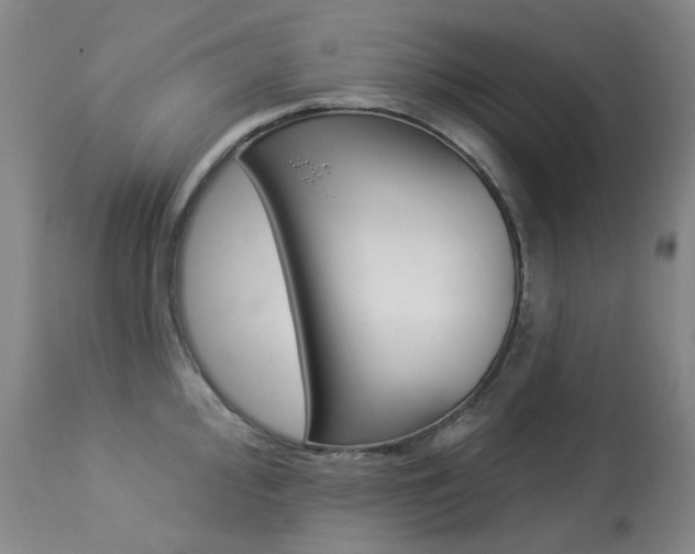 X0000113921000200909241325
