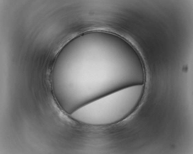 X0000113921001200909241325