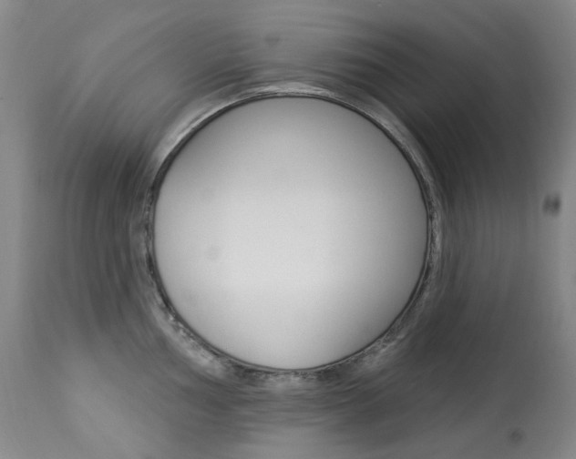 X0000113921002200909241325