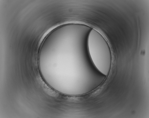 X0000113921004200909241325