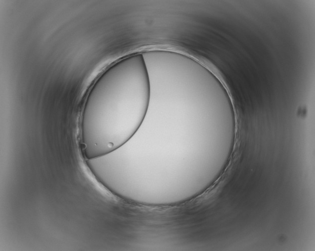 X0000113921005200909241325