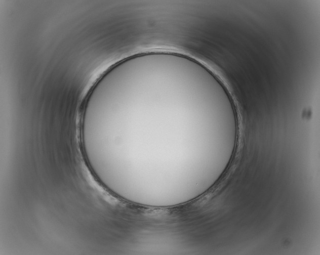 X0000113921006200909241325