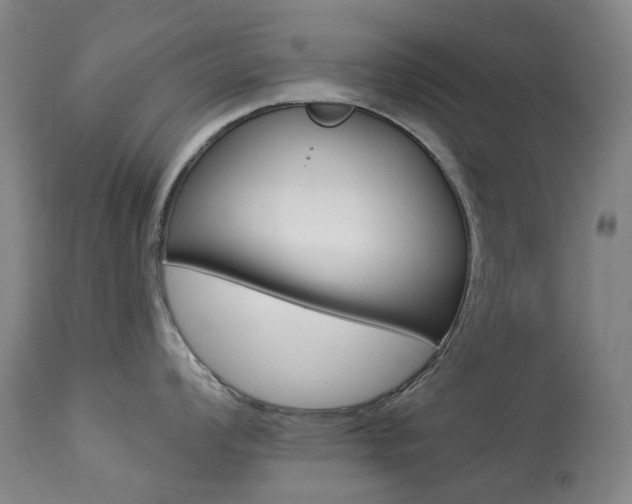 X0000113921008200909241325