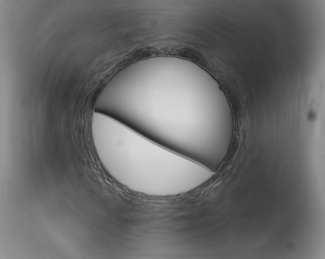 X0000113921010200909241324