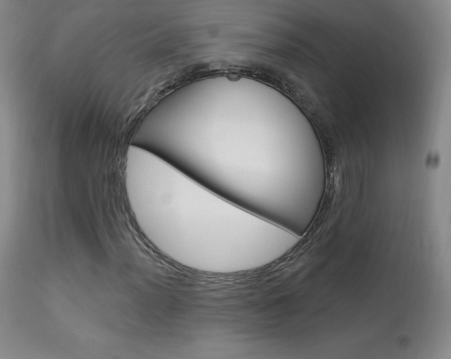 X0000113921012200909241324