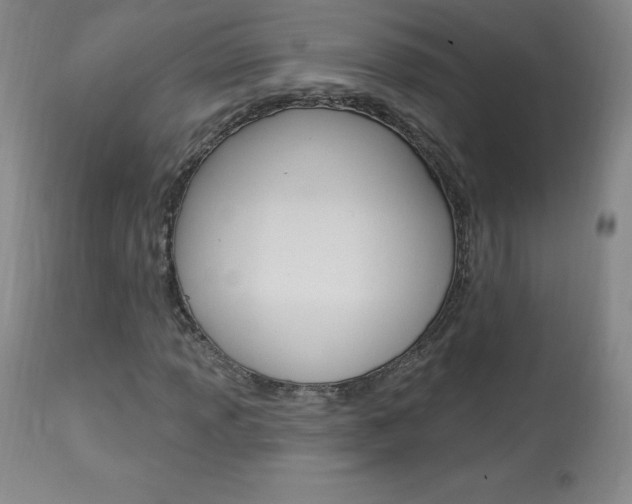 X0000113921013200909241324