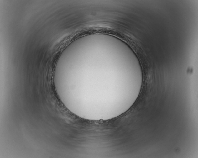 X0000113921014200909241324
