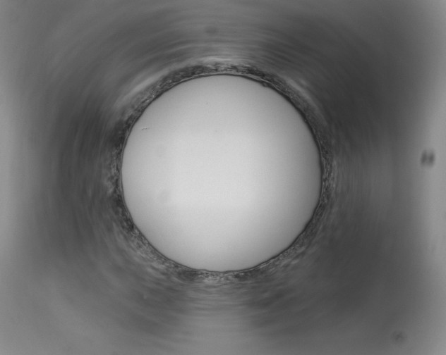 X0000113921015200909241324