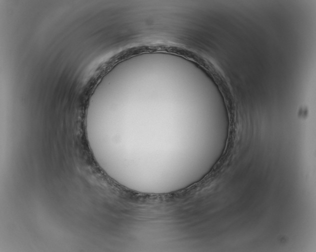 X0000113921016200909241324