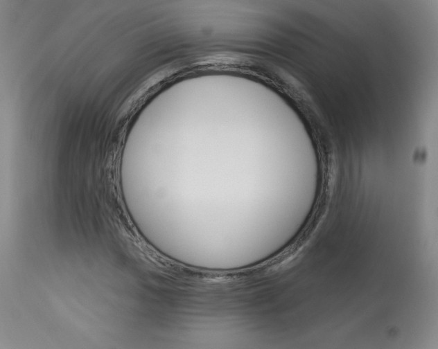 X0000113921017200909241324