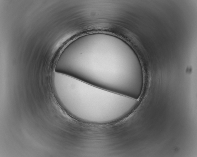 X0000113921018200909241324