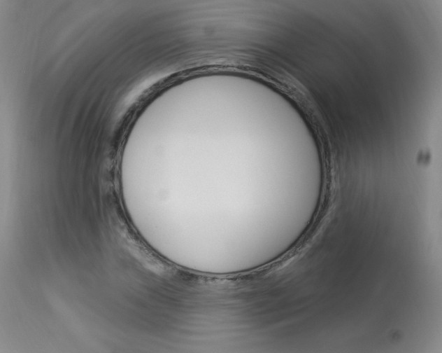 X0000113921019200909241324