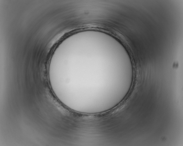 X0000113921023200909241324