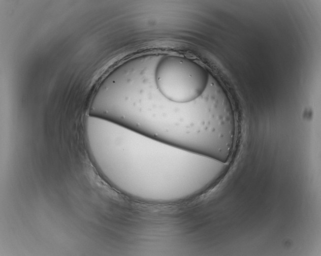 X0000113921025200909241324