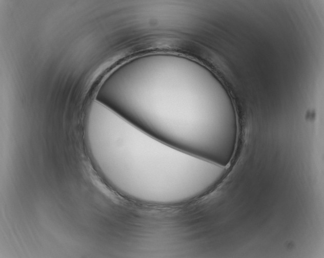 X0000113921026200909241324