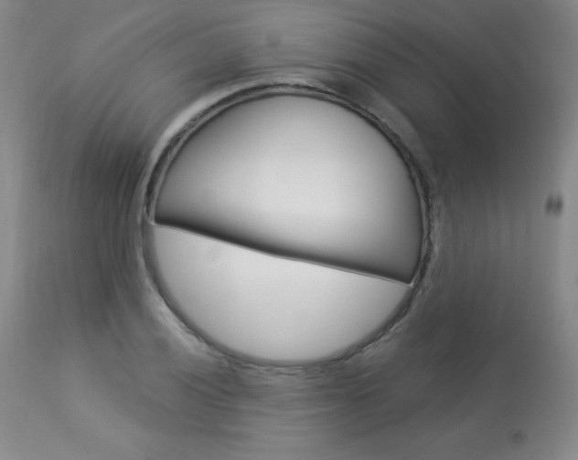 X0000113921028200909241325