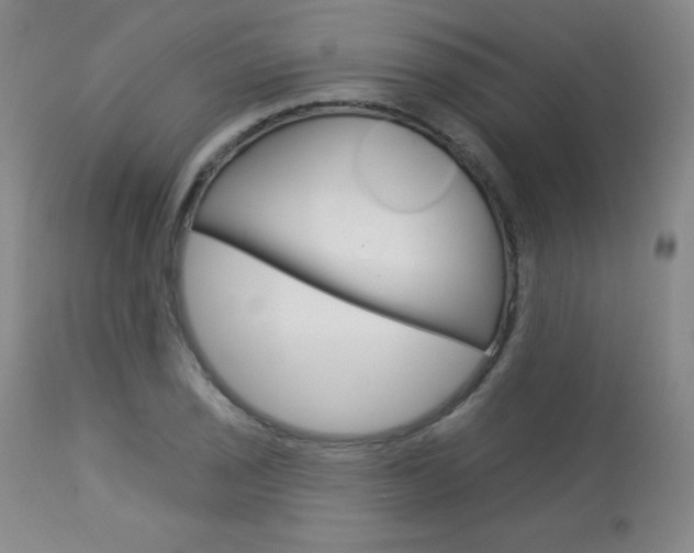 X0000113921029200909241325