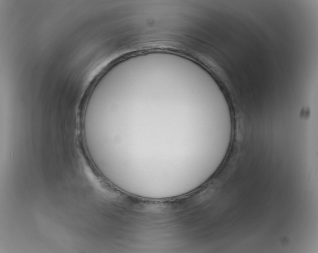 X0000113921031200909241325