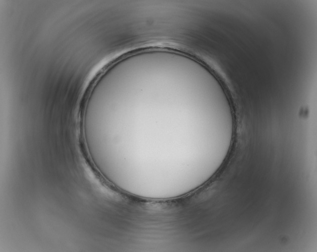 X0000113921032200909241325