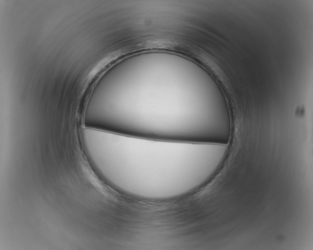 X0000113921034200909241325