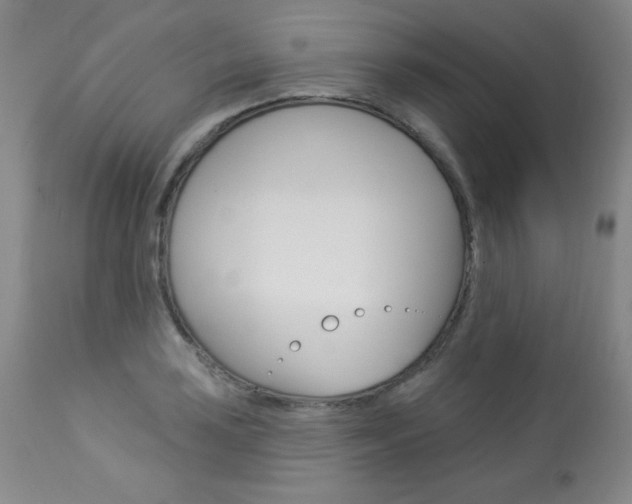 X0000113921035200909241325