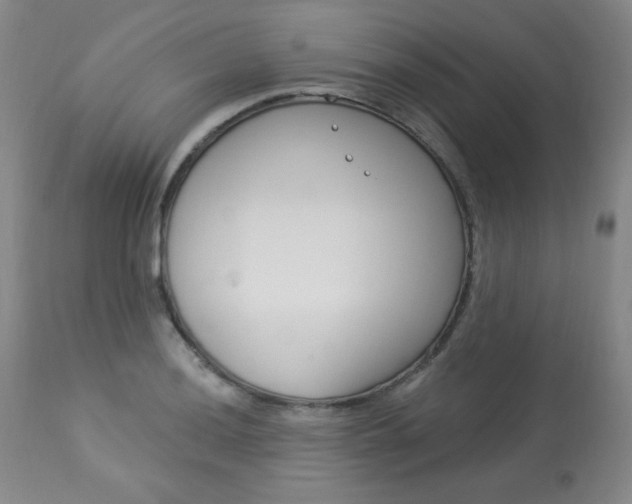 X0000113921036200909241325