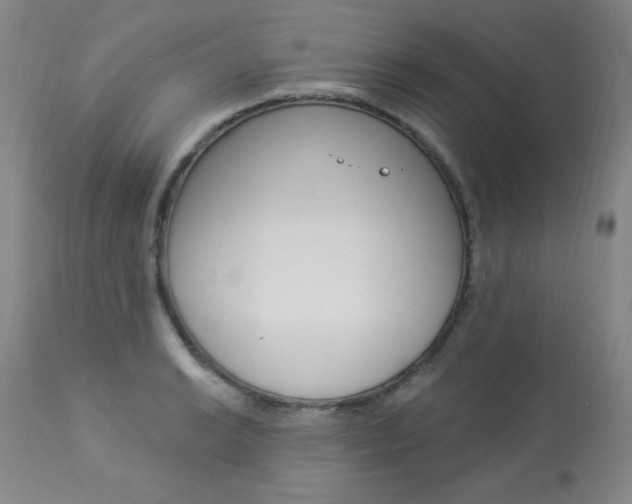 X0000113921038200909241325