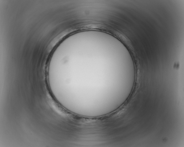 X0000113921039200909241325