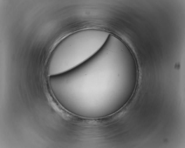 X0000113921042200909241325