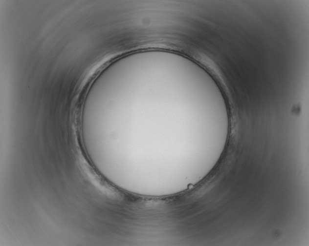 X0000113921043200909241325