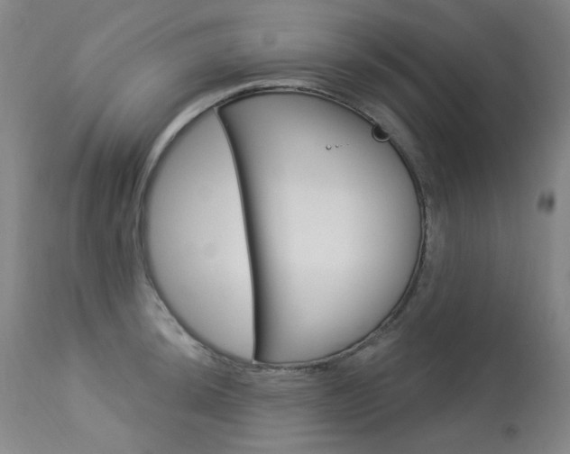 X0000113921044200909241325