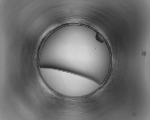 X0000113921045200909241325