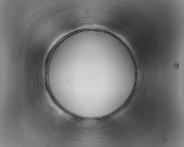 X0000113921046200909241325