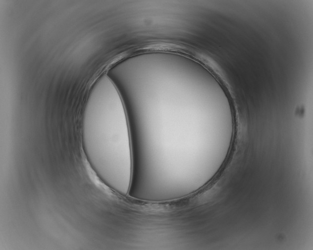 X0000113921049200909241325